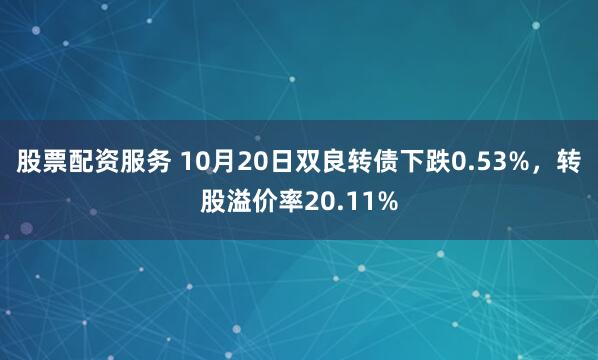 股票配资服务 10月20日双良转债下跌0.53%,转股溢价率20.11%