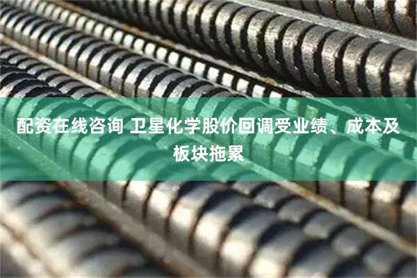 配资在线咨询 卫星化学股价回调受业绩、成本及板块拖累