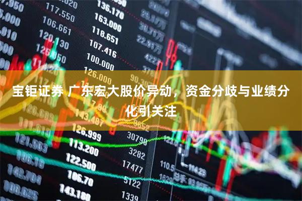 宝钜证券 广东宏大股价异动，资金分歧与业绩分化引关注
