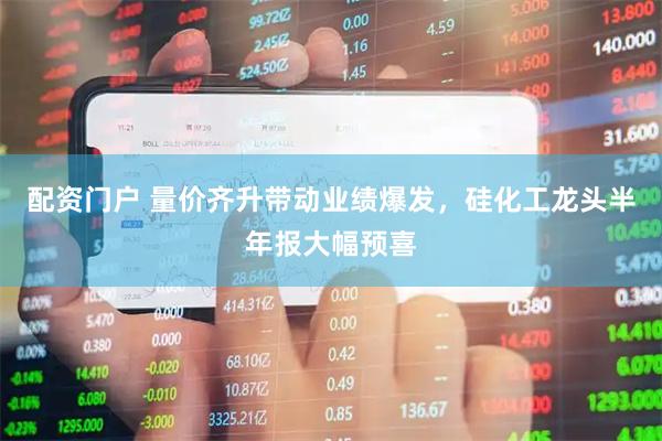 配资门户 量价齐升带动业绩爆发，硅化工龙头半年报大幅预喜