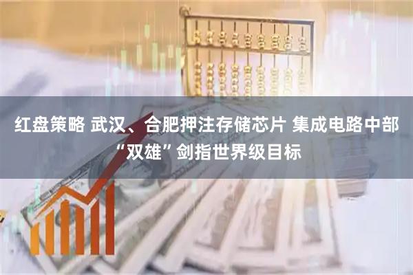红盘策略 武汉、合肥押注存储芯片 集成电路中部“双雄”剑指世界级目标