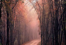 炒股软件排名前十名:手机可以用什么软件买股票-“医药一哥”重磅消息！恒瑞医药公布两款药品新进展